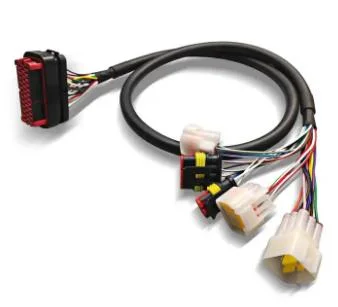 Ensemble de câbles de faisceau de câbles électriques personnalisé OEM, fabricant pour véhicule